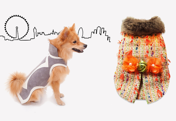 abrigar a las mascotas b