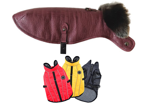 abrigar a las mascotas c