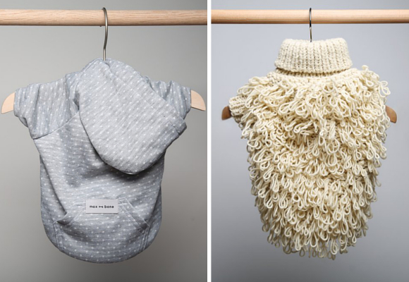 abrigar a las mascotas d