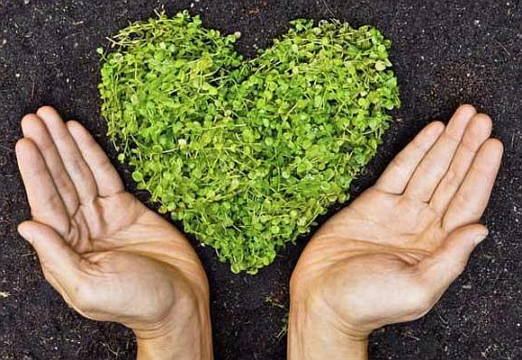 luz para las personas en situación vulnerable c