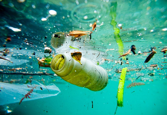 reciclar por dinero a