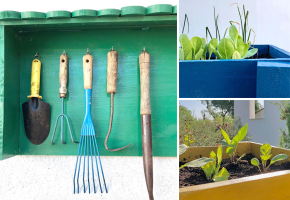 Imagen que contiene edificio, tabla, pequeño, verde
Descripción generada automáticamente