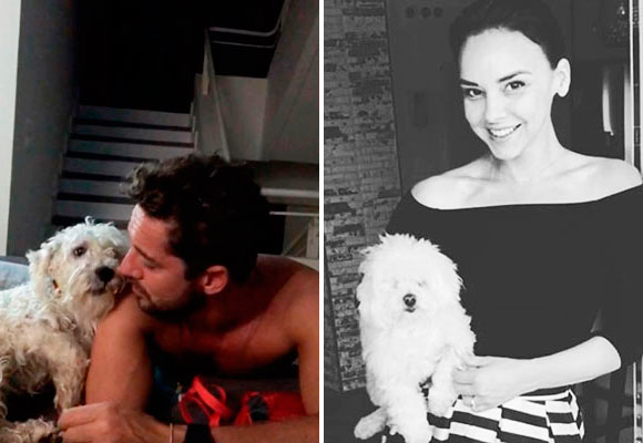 Mascotas David Bisbal y Chenoa