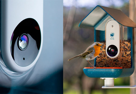 Bird Buddy