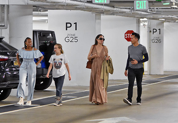 Angelina Jolie hijos