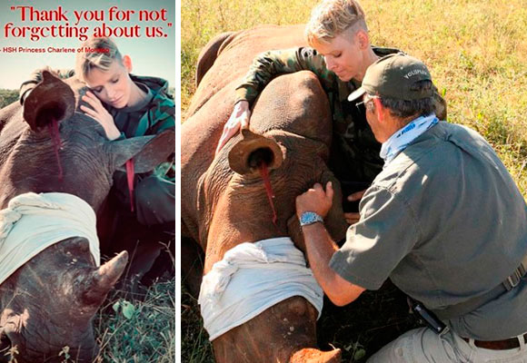 Charlène de Mónaco