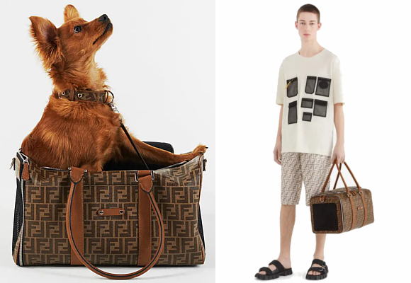 Mascotas Fendi