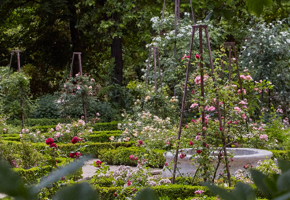 real jardin botanico