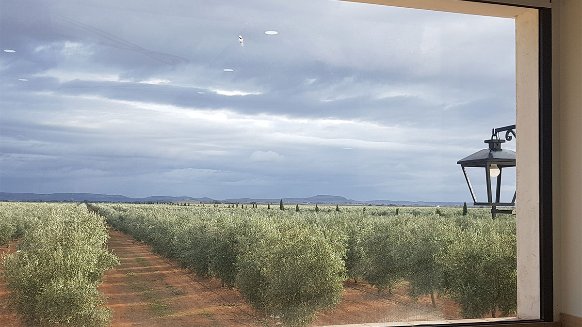 finca palacio de los olivos