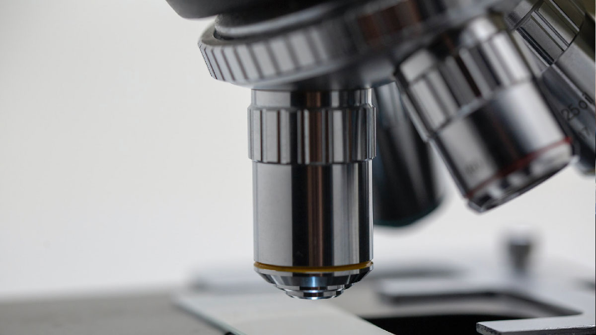 innovacion investigacion microscopio