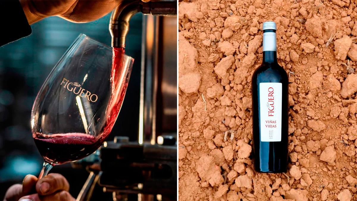 vino figuero