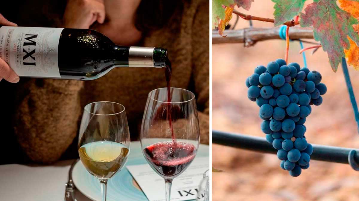 Bodegas Tinto Pesquera