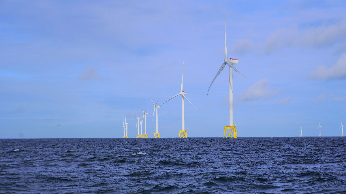 eolica marina molinos