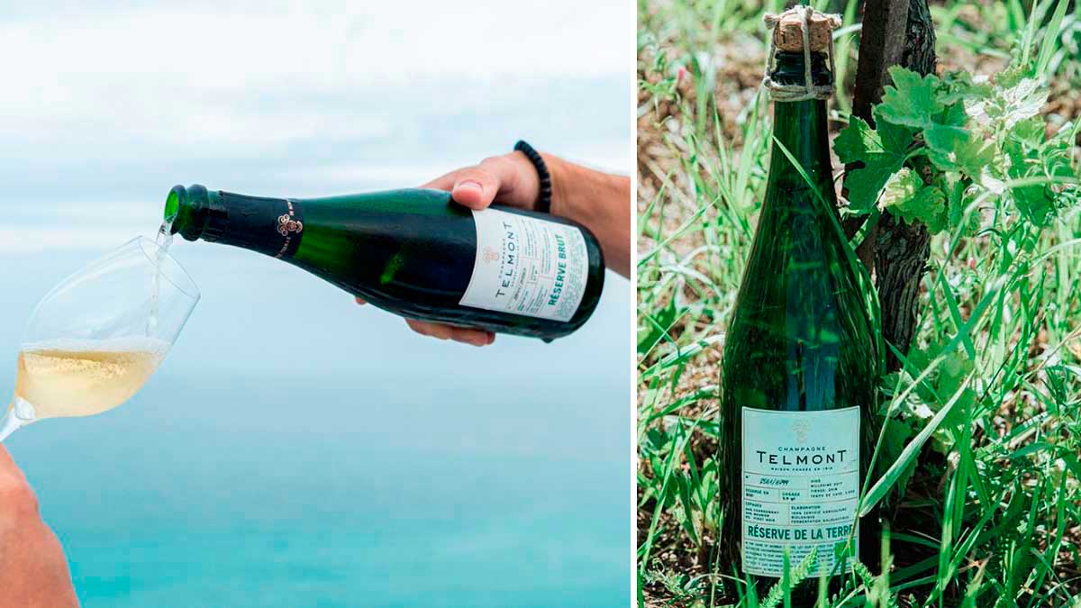 Champán Telmont