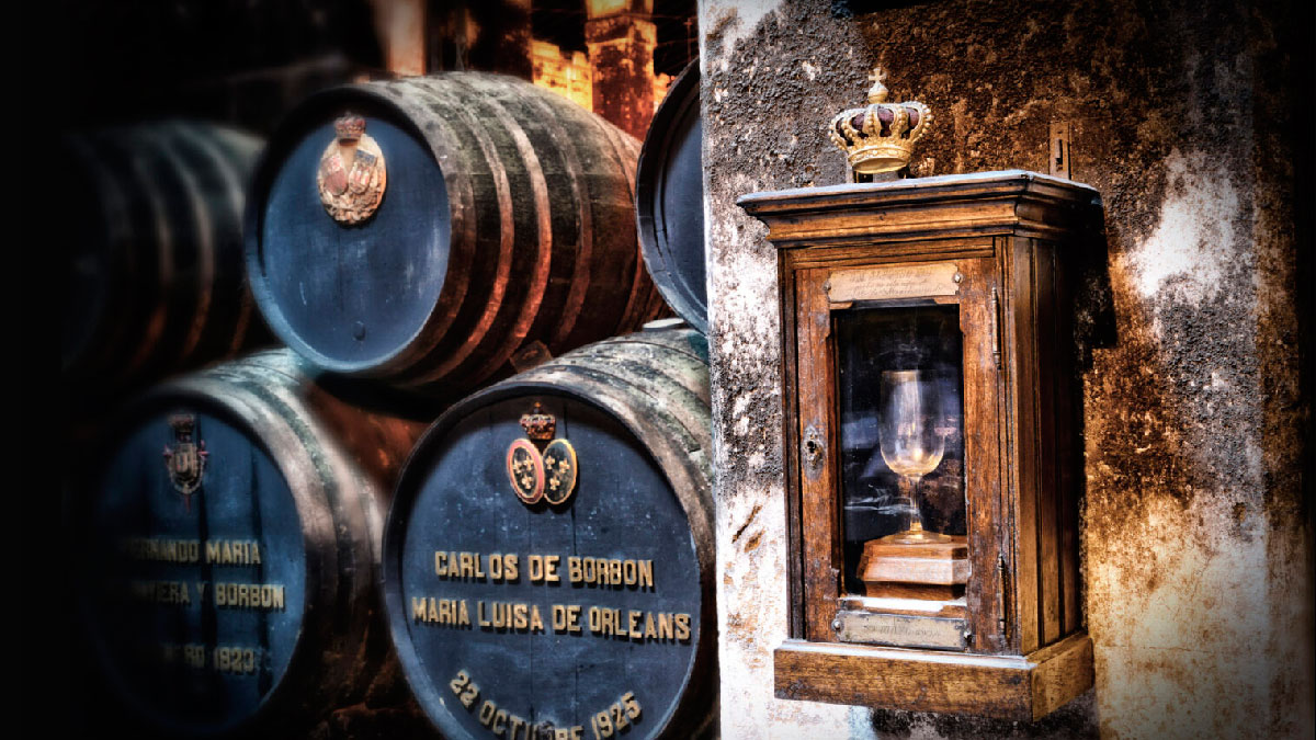 bodegas fundador barricas