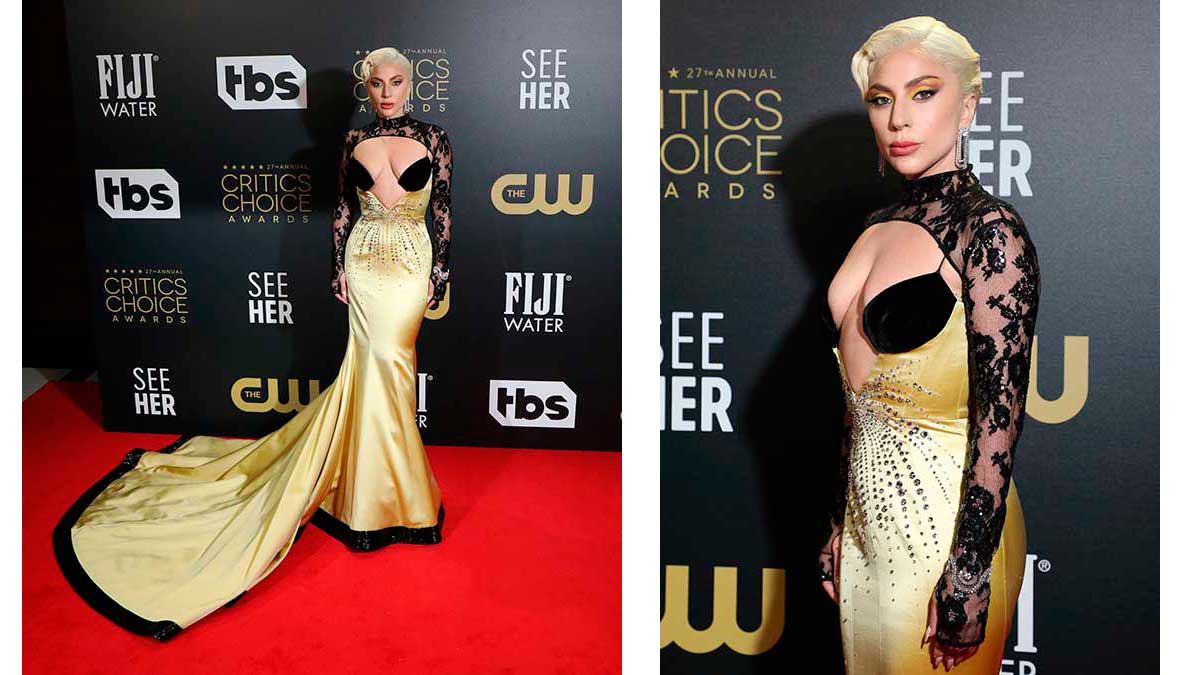 Lady Gaga Critics choice
