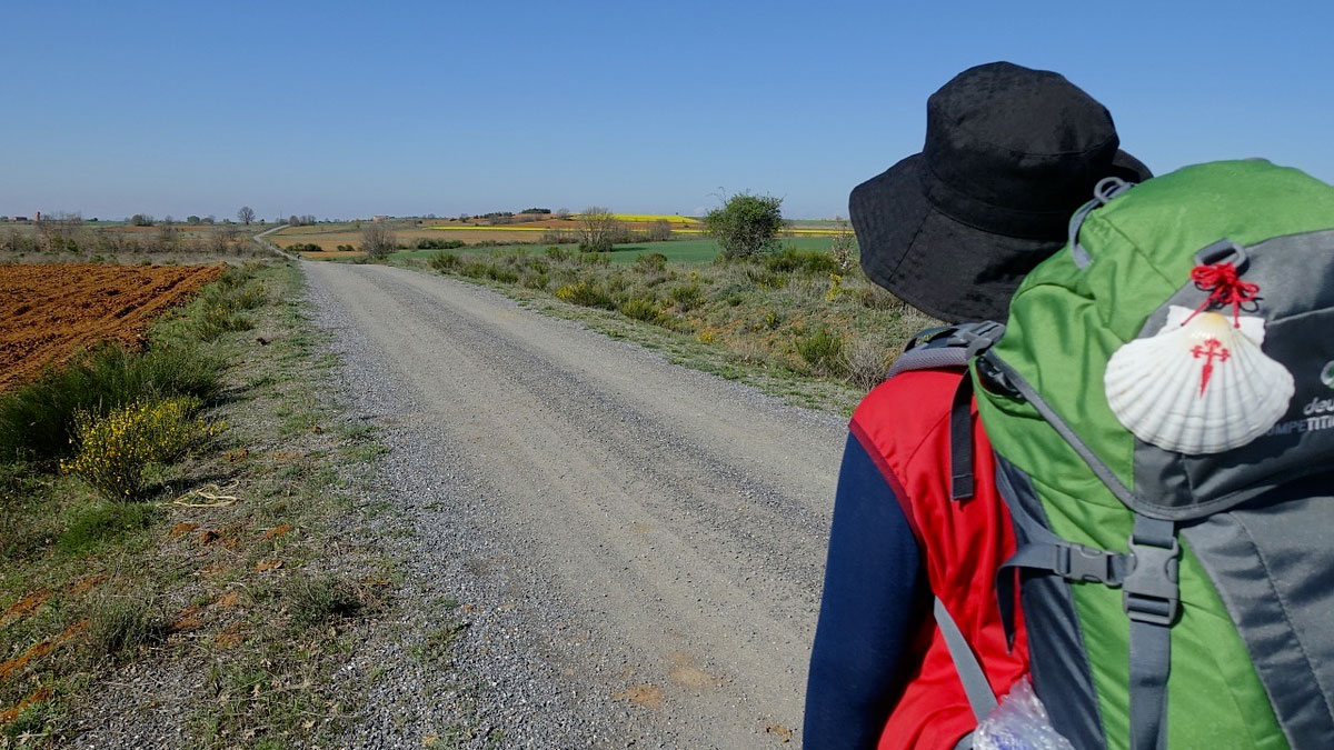 camino de santiago
