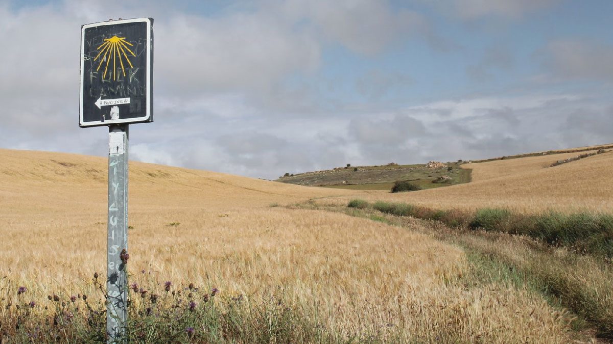 camino santiago