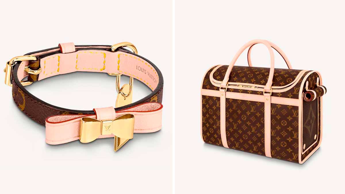 Complementos perro LV