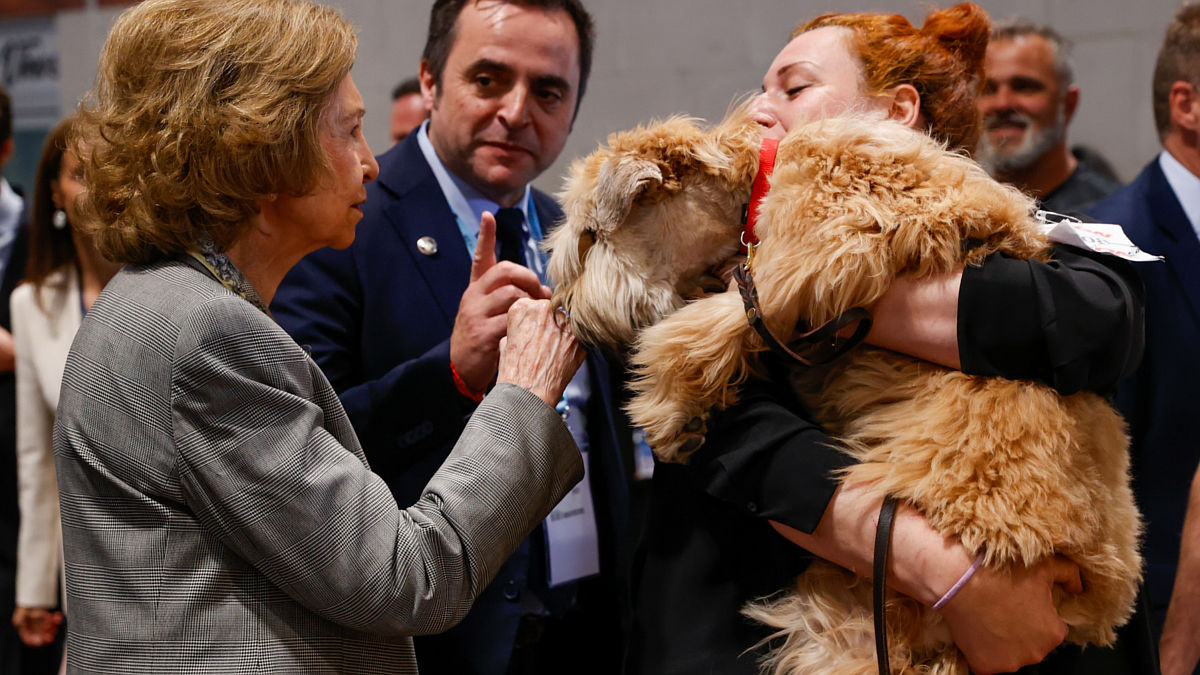 Sofía Mascotas (Foto: Gtres)