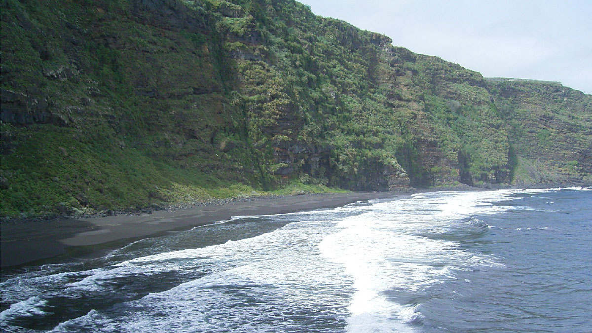 playa de nogales la palma