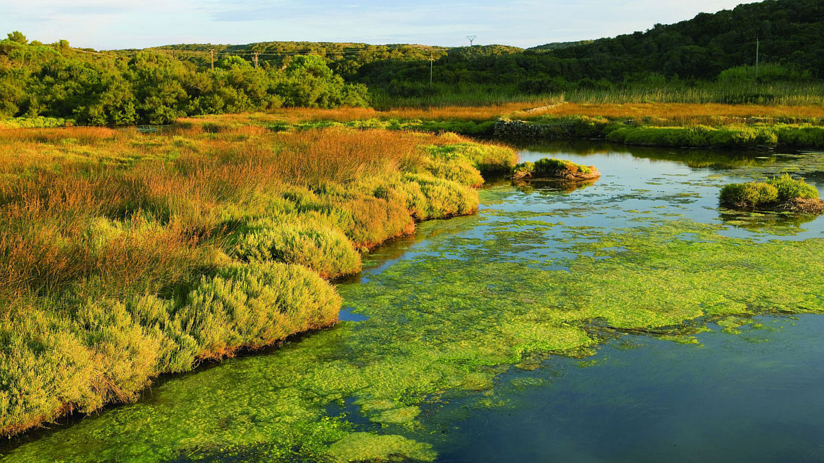 Baleares (Foto: Newlink)