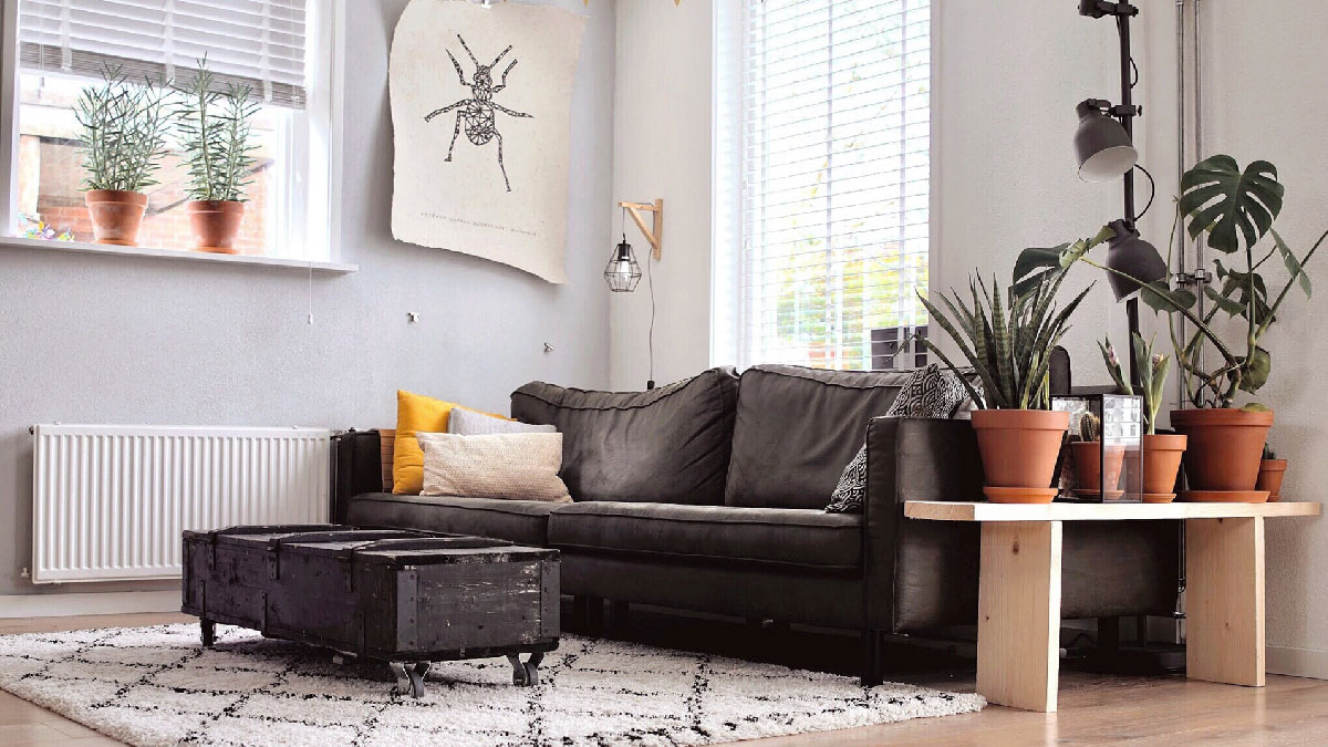 salon casa deco alfombra