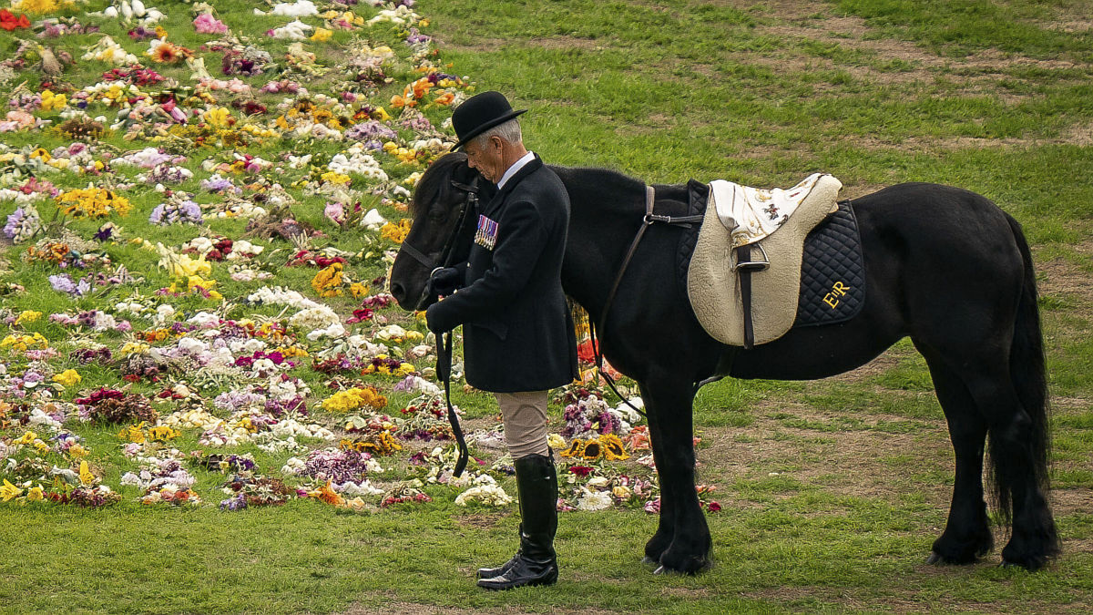 Emma Isabel II (Foto: Gtres)
