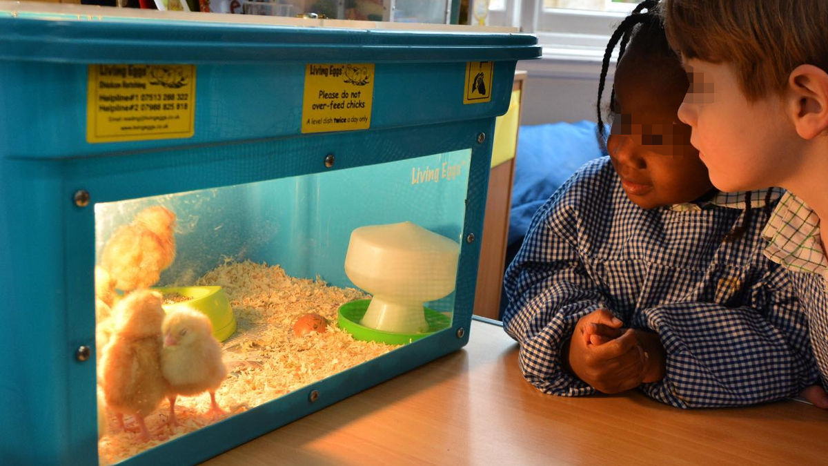 (Foto: Lambrook Instagram)