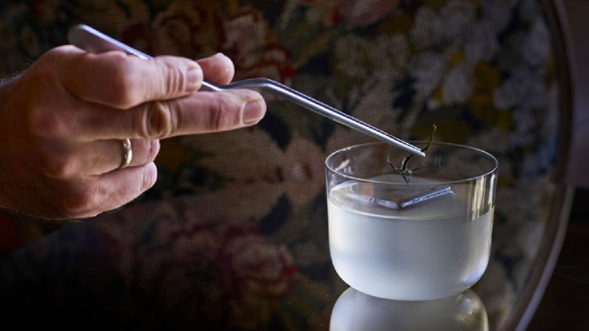 coctel isa gastrobar