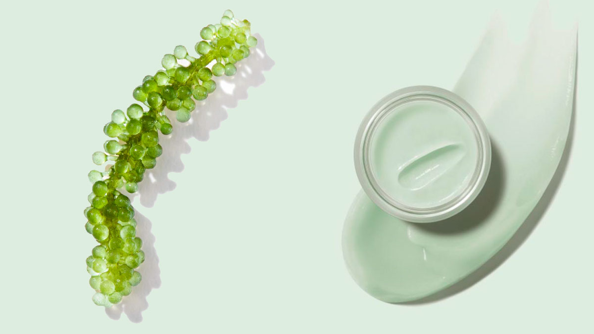 crema mercadona green caviar