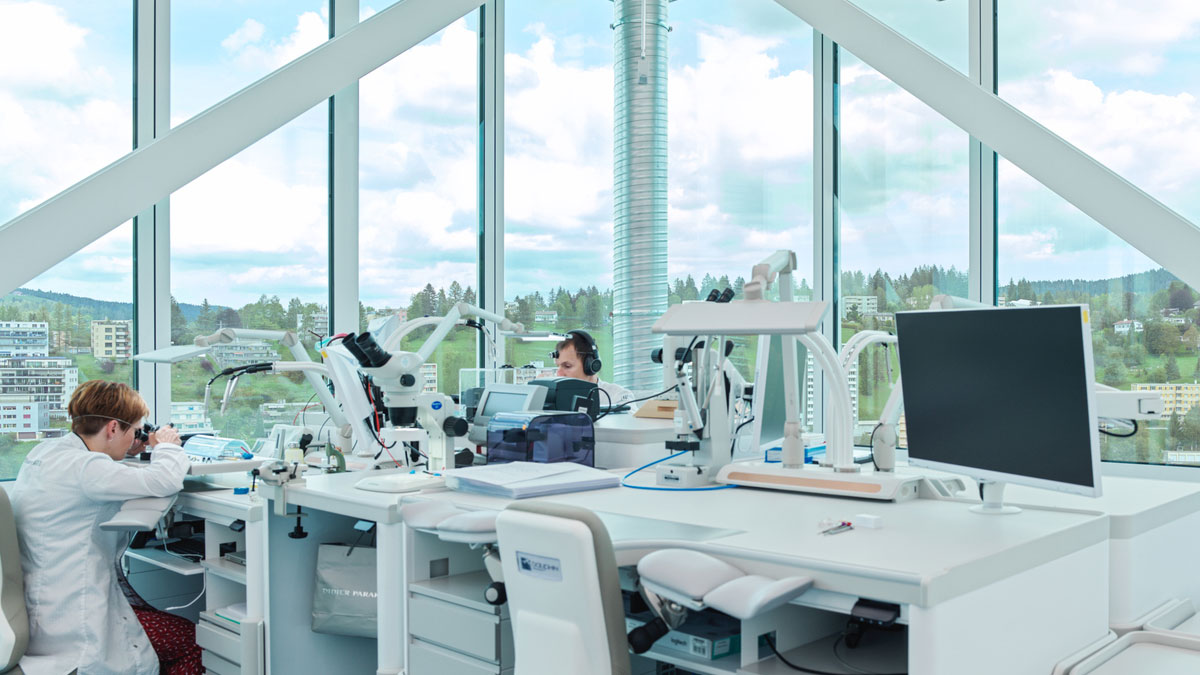 fabrica Audemars Piguet