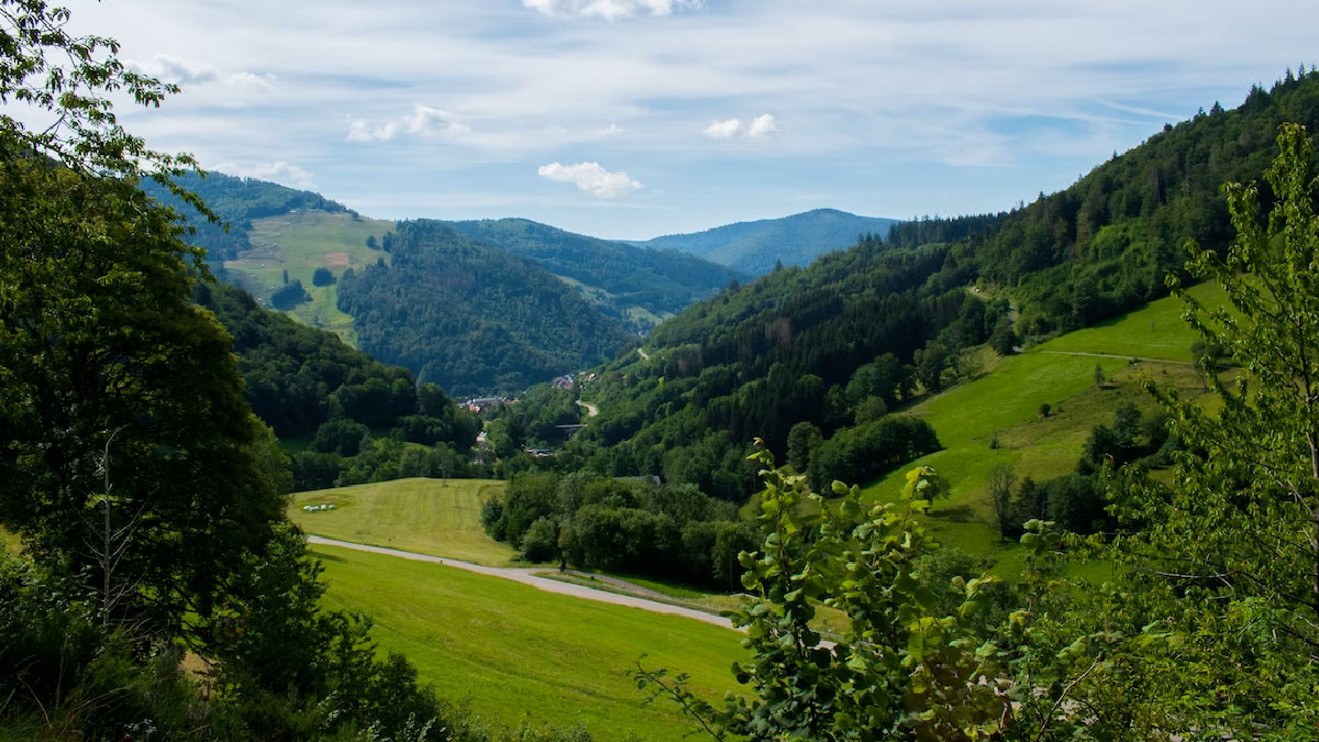 selva negra alemania