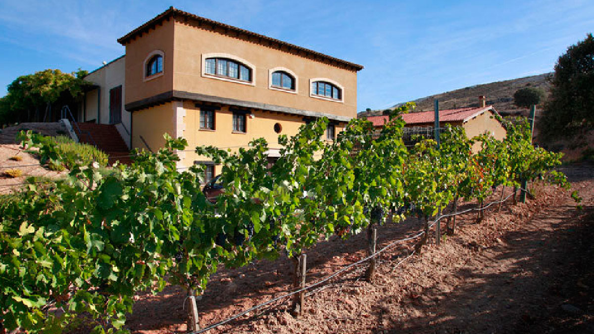 bodega vino valdubon