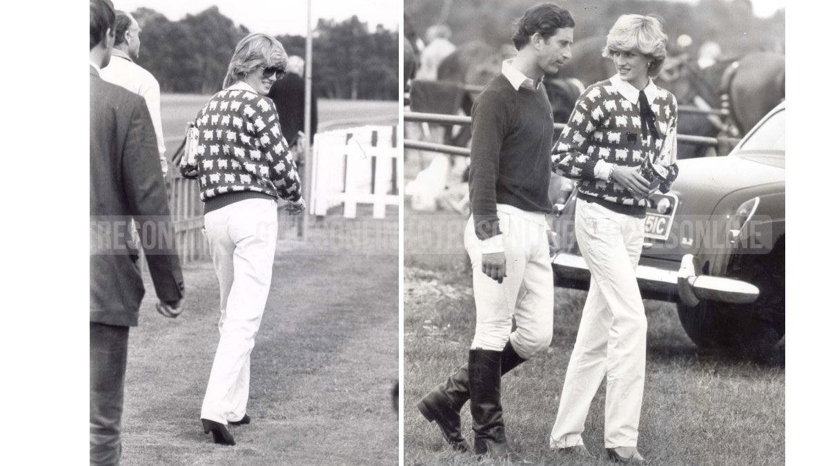 lady di jersey ovejas