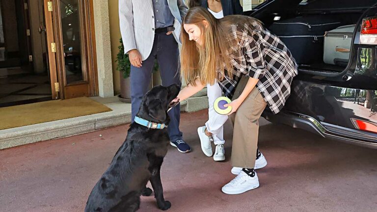 Infanta Sofía perro