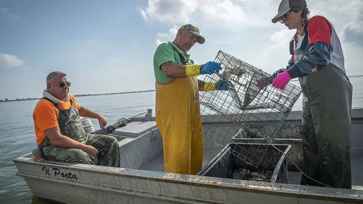 (Foto: Prada - National Geographic)
