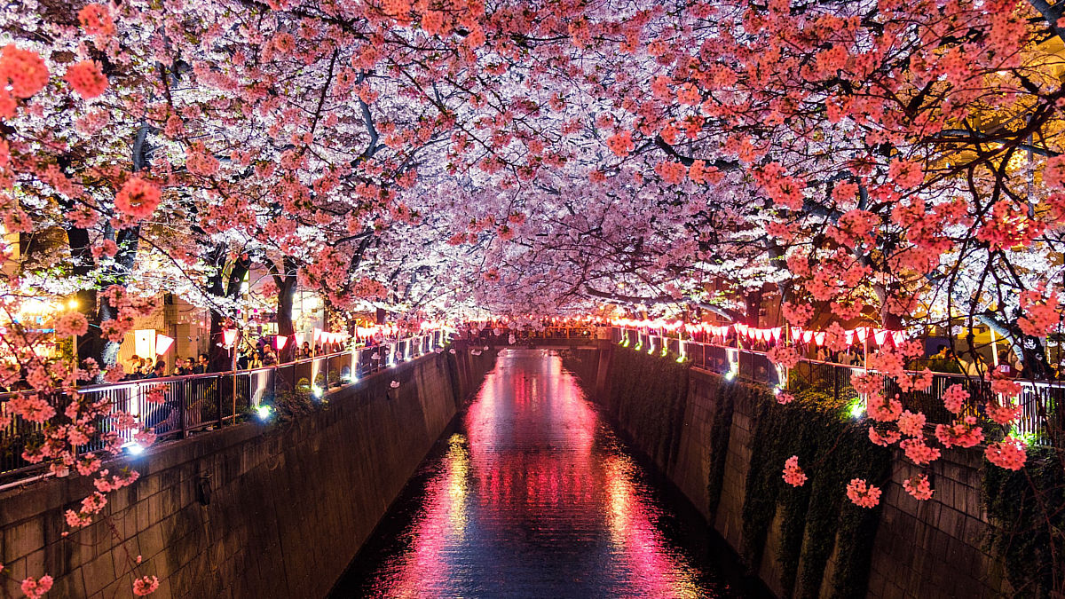 Tokio (Foto: Unsplash)