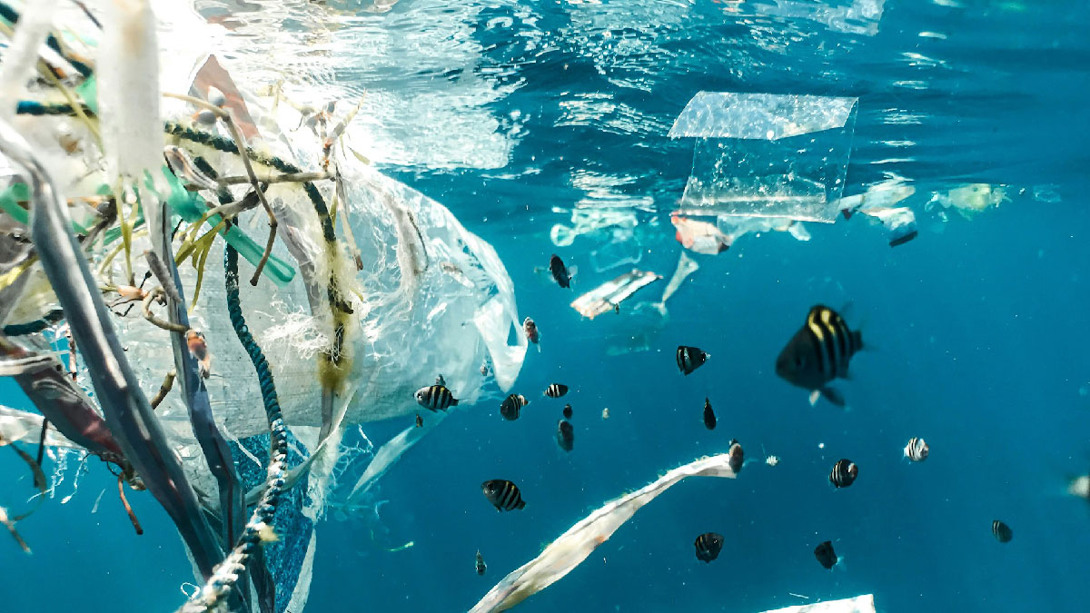 plasticos en el mar
