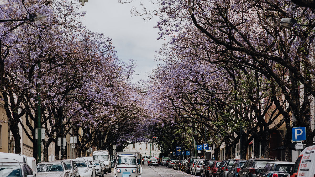 Lisboa (Foto: Piqsels)