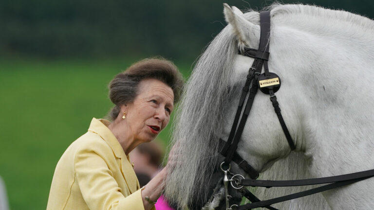 Princesa Ana (Foto: Gtres)