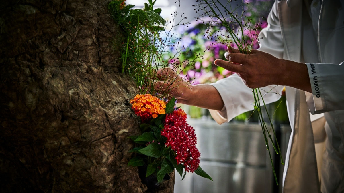 Glenmorangie (Foto: LVMH)