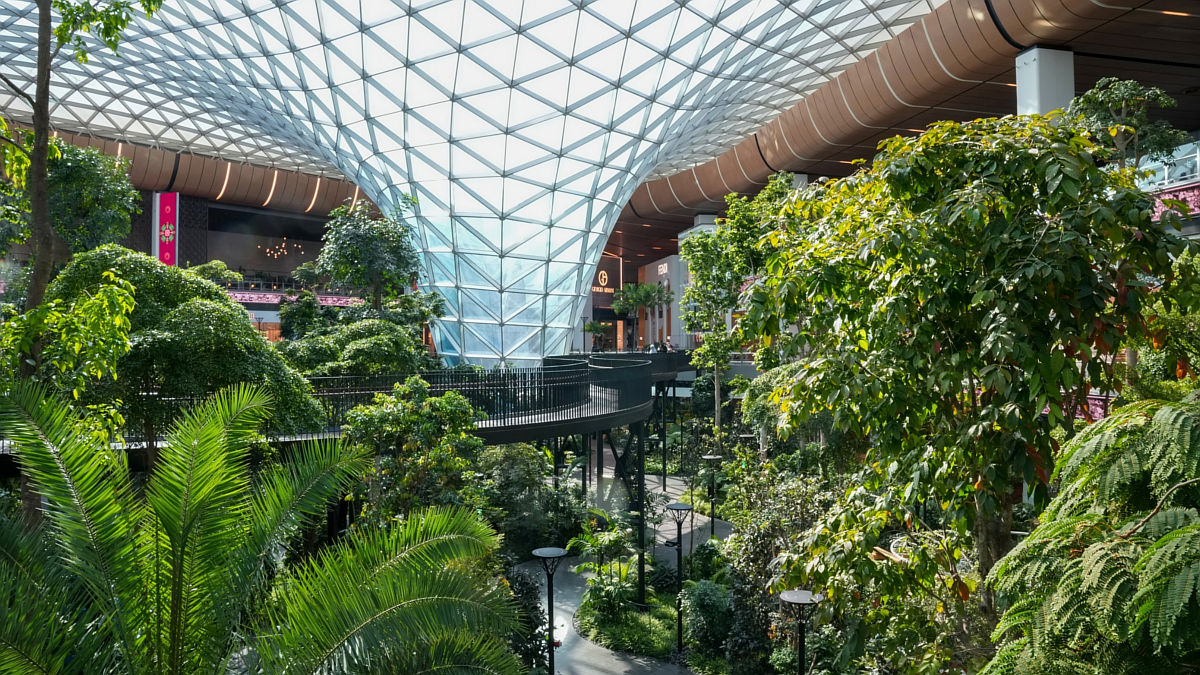 (Foto: Aeropuerto de Doha Facebook)