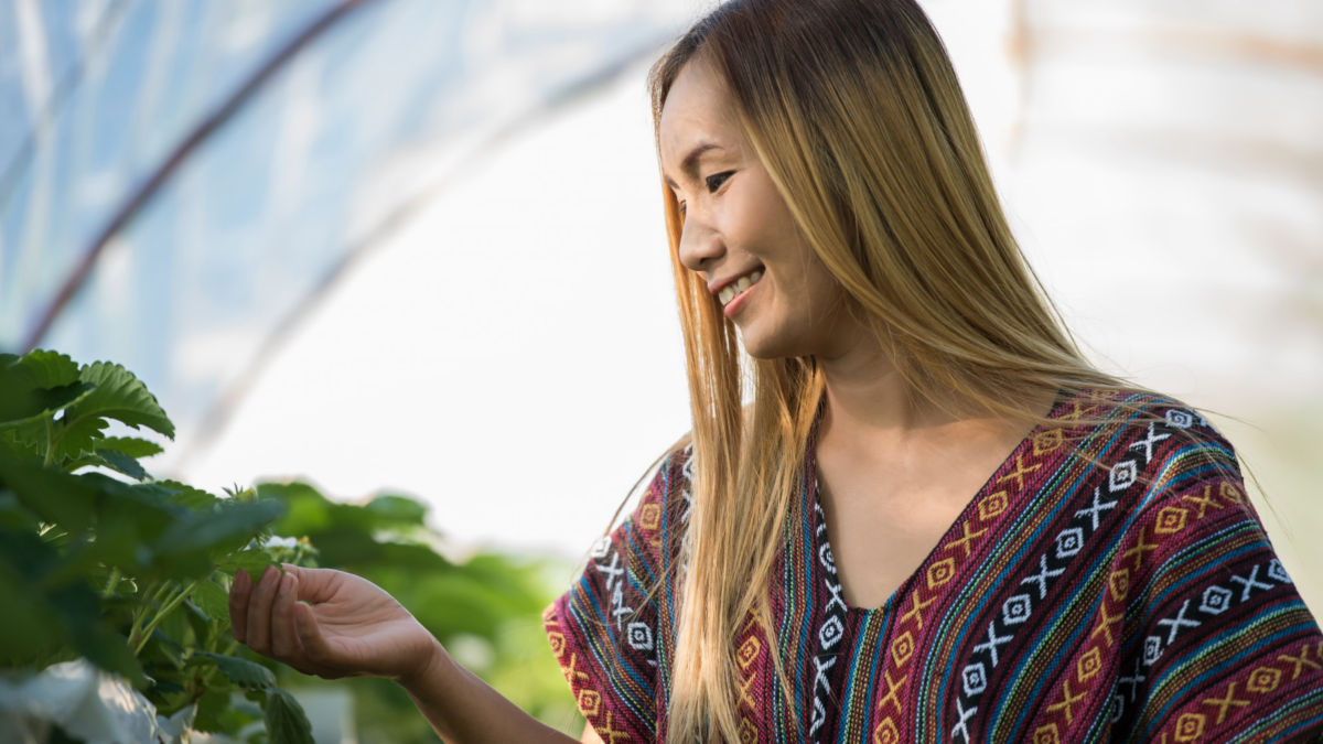 Biometano Naturgy (Foto: Freepik)