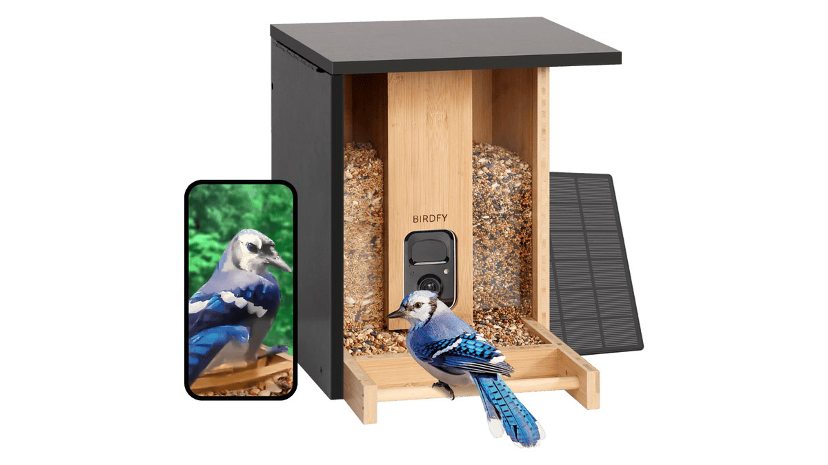 comedero aves