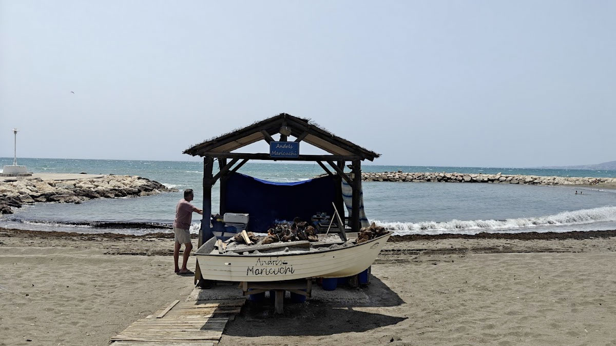 espetos malaga