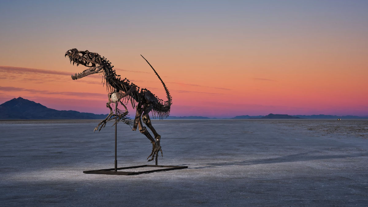 esqueleto dinosaurio sothebys
