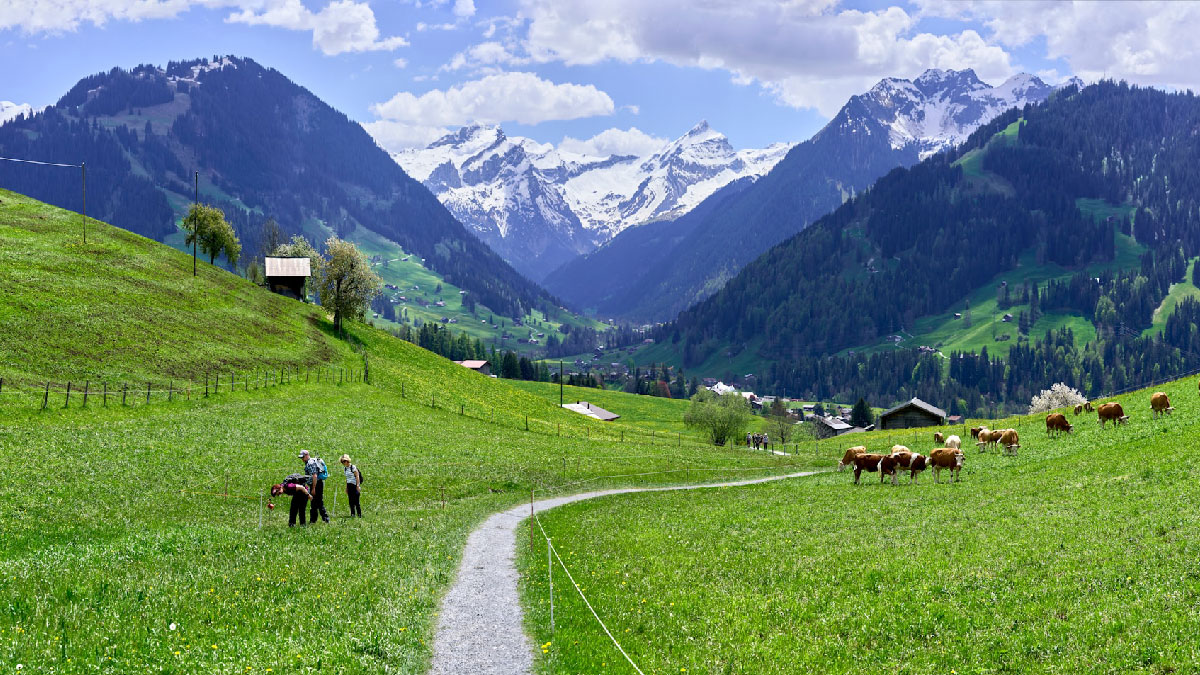 suiza