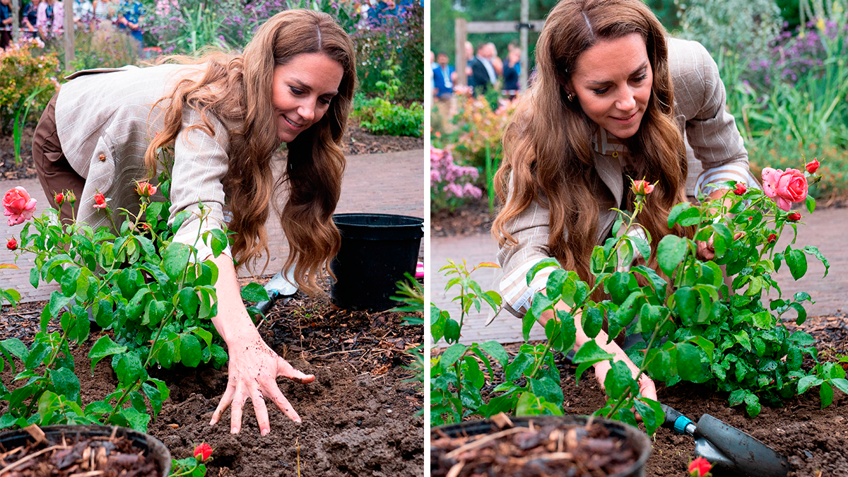 Kate Middleton 