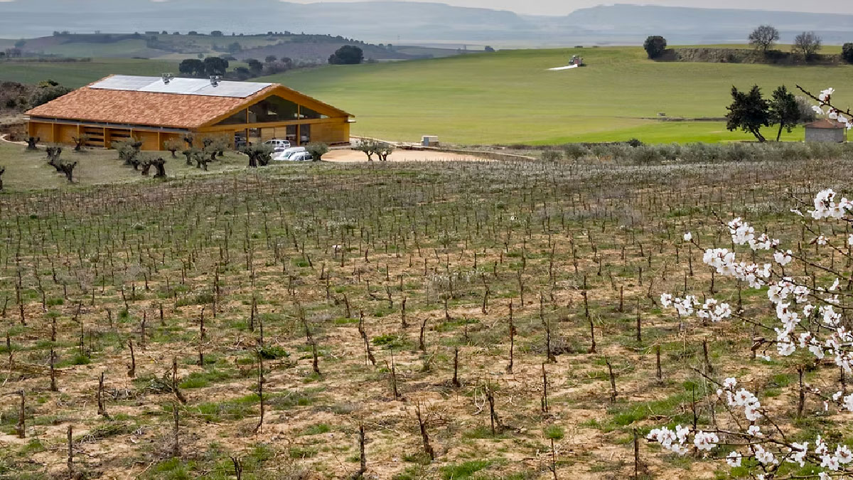 la vasconia